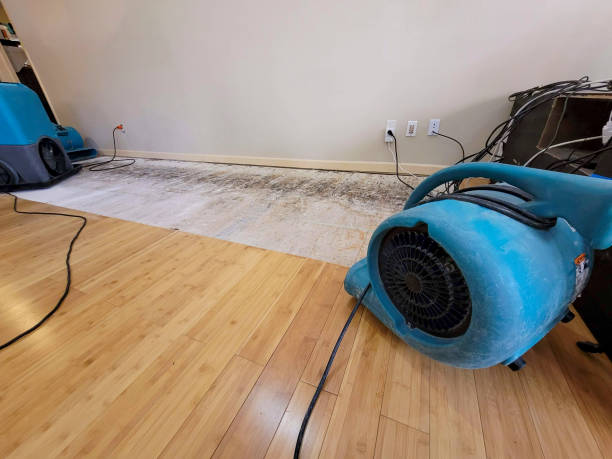 Professional Water Removal technician working in Harmon, IL
